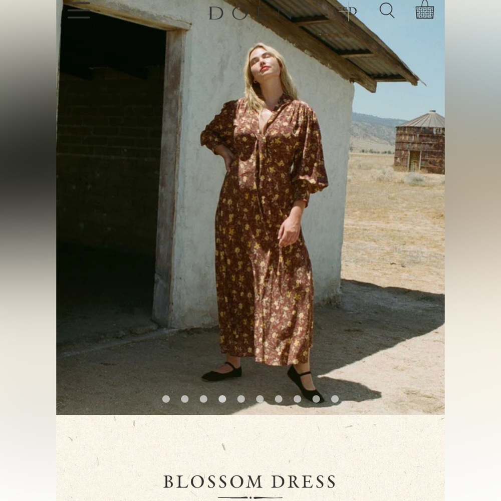 Doen Blossom Dress in Cherrywood winding vine fabric size large - Picture 3 of 11